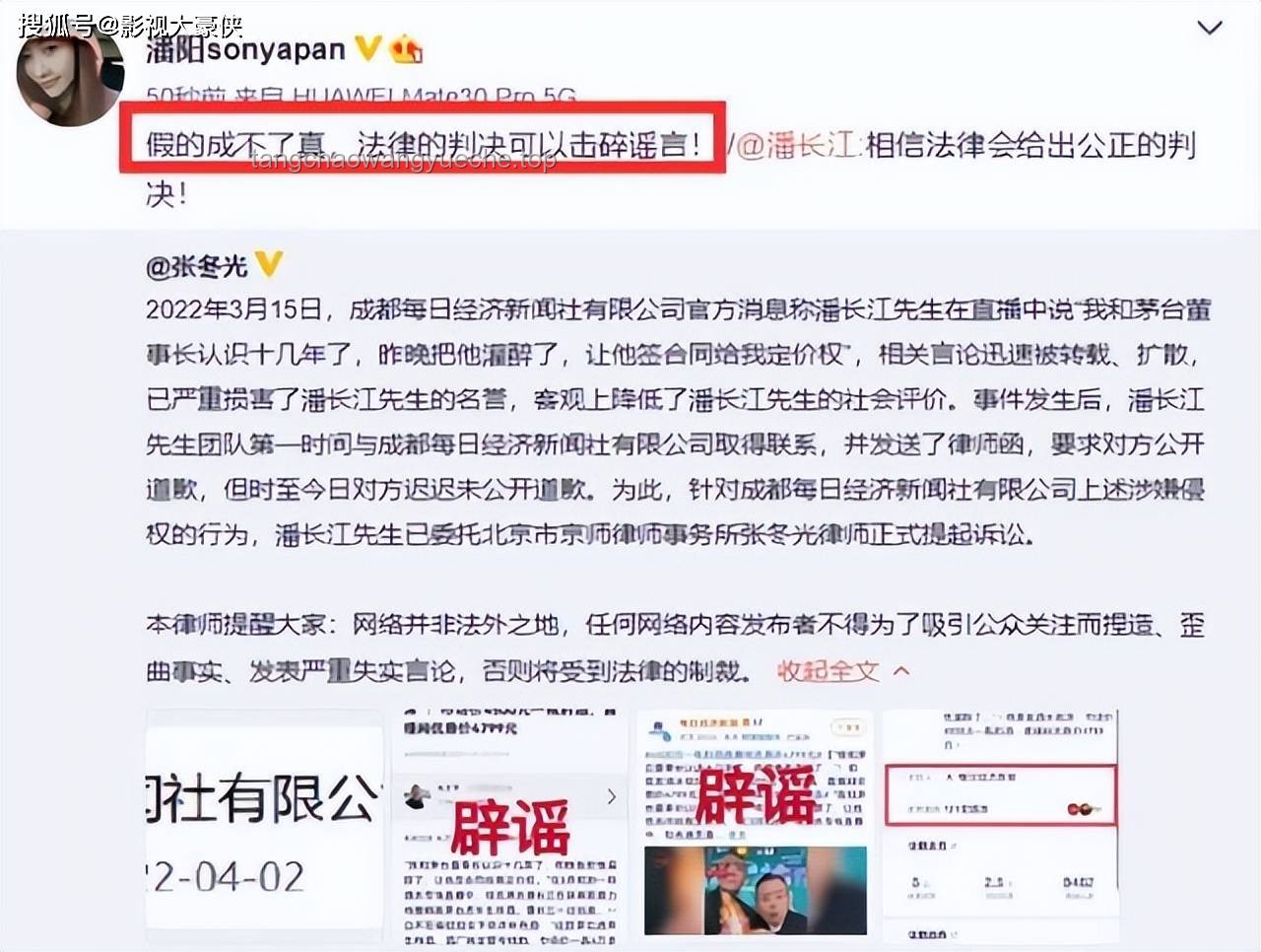 “潘长江被判”事件法律解决方案探究